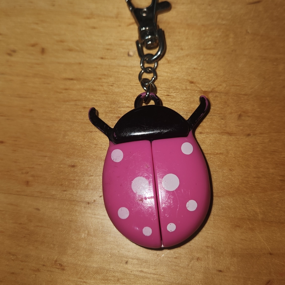 Charming Pink Ladybug Keychain for Kids